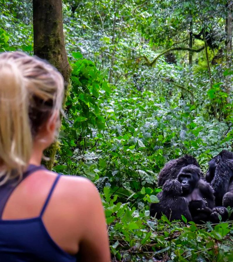 3-days-rwanda-gorilla-and-golden-monkeys-tour