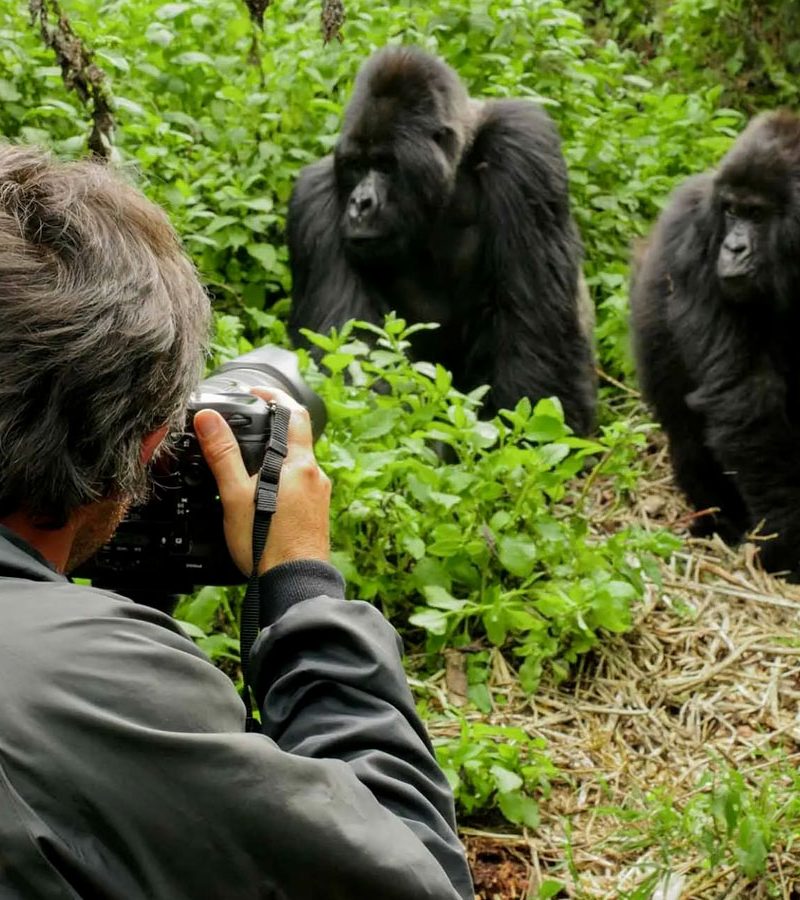 5-days-rwanda-gorilla-trekking-wildlife-safari